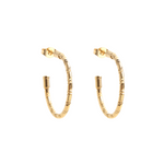 Load image into Gallery viewer, Gold plated steel hoops